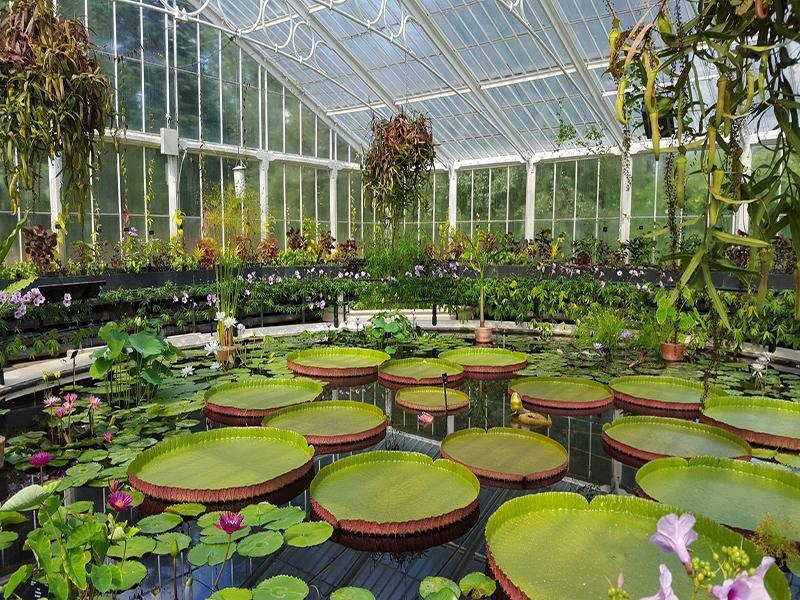 Jardins Botaniques Royaux de Kew et Wakehurst